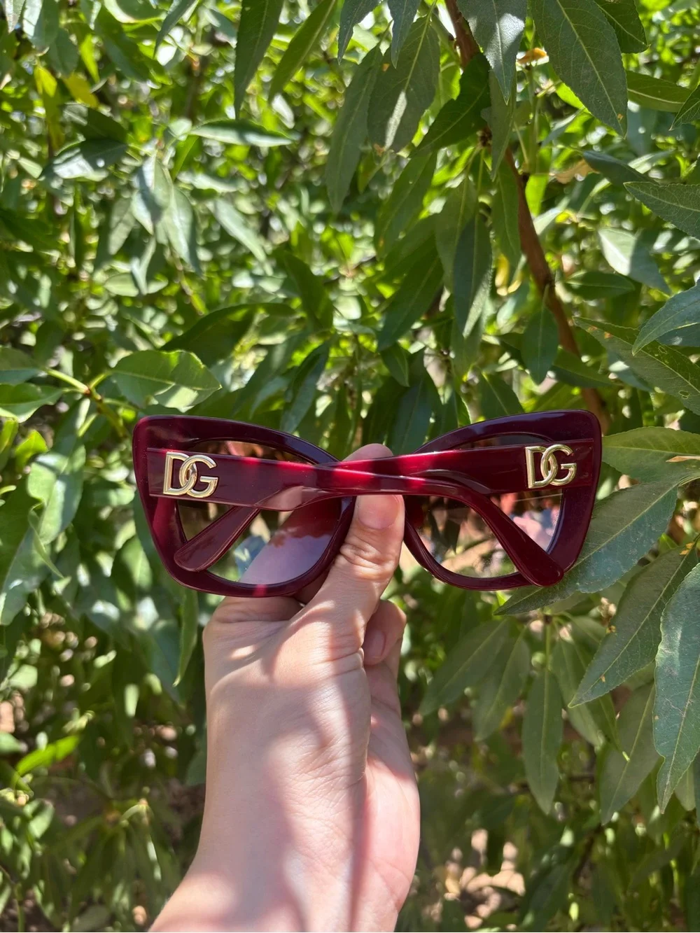 DOLCE GABBANA Burgundy Cat-Eye Sunglasses
